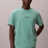 Acid Wash Logo Graphic Classic T-shirt Acid Wash Logo Graphic Classic T-shirt
