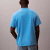 Acid Wash Logo Graphic Classic T-shirt Acid Wash Logo Graphic Classic T-shirt