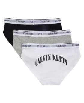 Arch Logo Graphic 3-pack Hipster