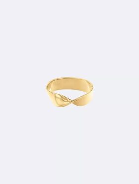 Armband med gångjärn