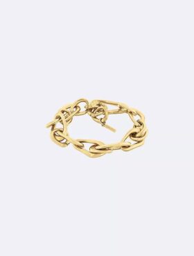 Armband med organiska länkar Armband med organiska länkar