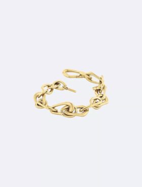 Armband med organiska länkar Armband med organiska länkar
