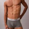 Borstrad stretchbyxa i mikrofiber med Low Rise Trunk Borstrad stretchbyxa i mikrofiber med Low Rise Trunk