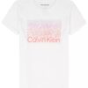 Flickor Ombre Logo Graphic Classic T-shirt Flickor Ombre Logo Graphic Classic T-shirt