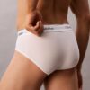 Icon Cotton Stretch 3-pack höftkalsonger