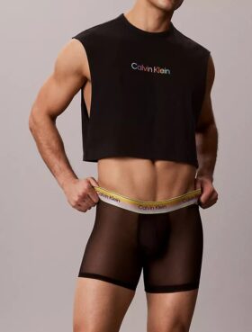 Icon Mesh Pride Boxerkalsonger