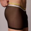Icon Mesh Pride Boxerkalsonger