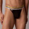 Icon Mesh Pride-Thong