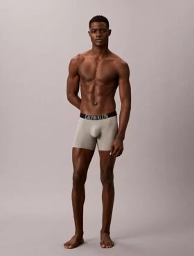 Intense Power Motion Boxer Brief Intense Power Motion Boxer Brief