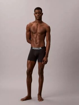 Intense Power Motion Boxer Brief Intense Power Motion Boxer Brief