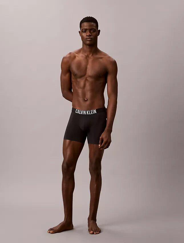 Intense Power Motion Boxer Brief Intense Power Motion Boxer Brief