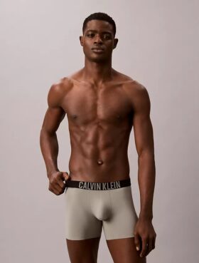 Intense Power Motion Boxer Brief Intense Power Motion Boxer Brief