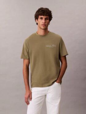 Klassisk T-shirt med liten logotyp