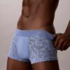 Mikrofiber-spetsunderbyxor med Low Rise Trunk