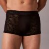 Mikrofiber-spetsunderbyxor med Low Rise Trunk Mikrofiber-spetsunderbyxor med Low Rise Trunk