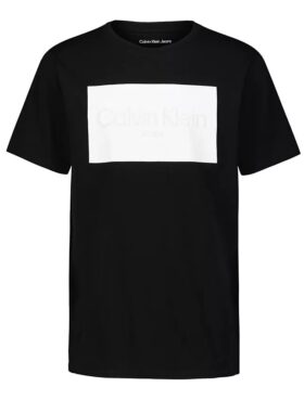 Pojkar Ck Logo Block T-shirt med rund hals