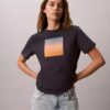 Sunset Graphic Classic Tee