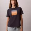 Sunset Graphic Classic Tee