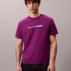 T-shirt med djärv logotyp och avslappnad passform
